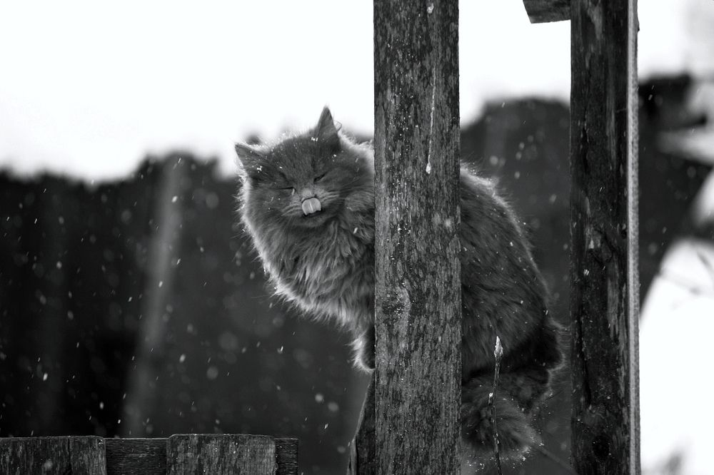Момент