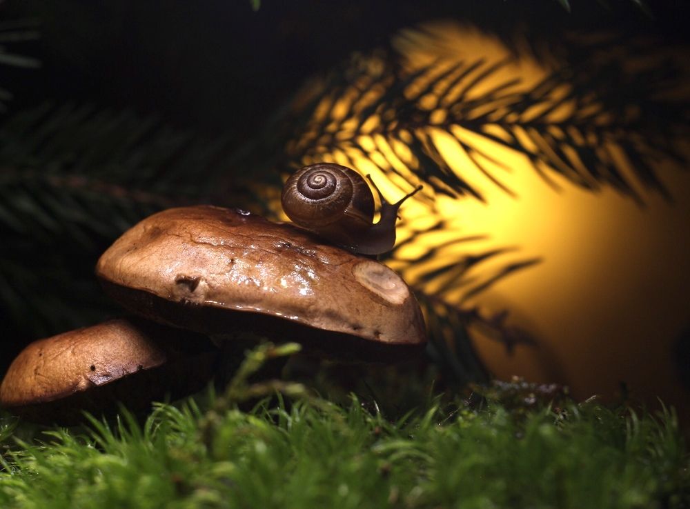 Провожая солнце