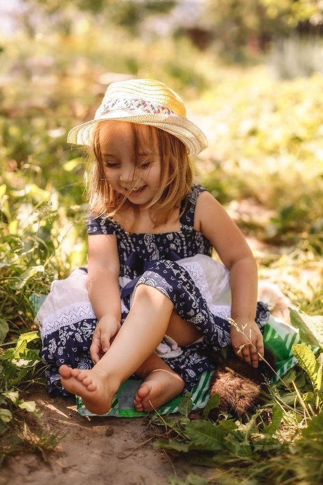 Дачная история