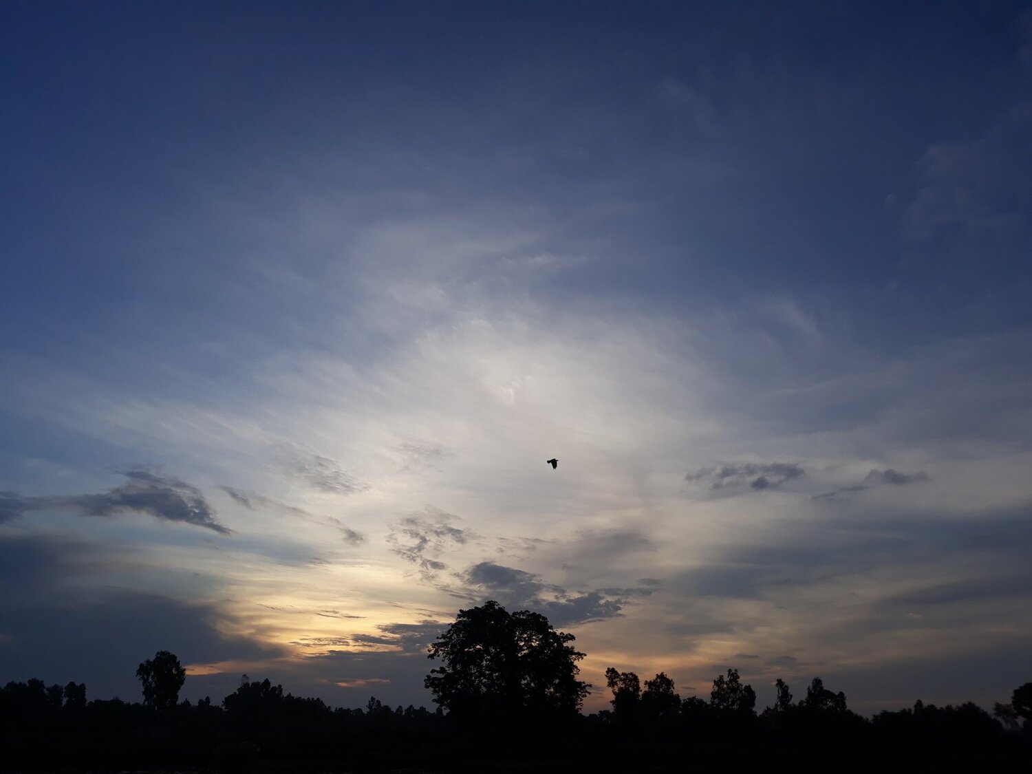 SUNSET AT Janakpurdham, Dhanusha, Nepal