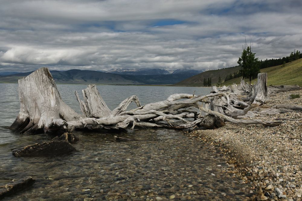 Photograph by Наталья Синицына