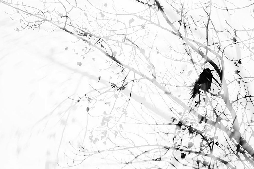 Межсезонье