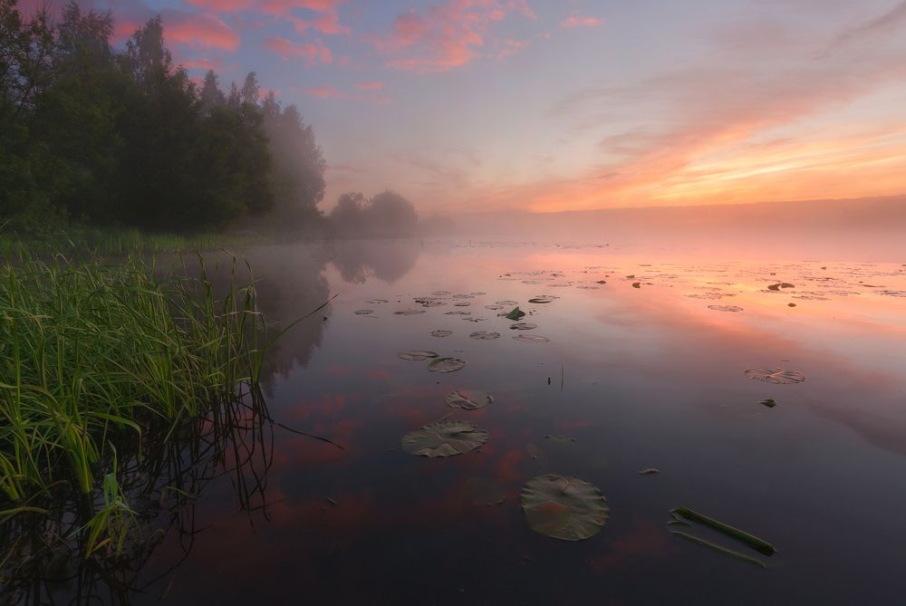 Один только миг.