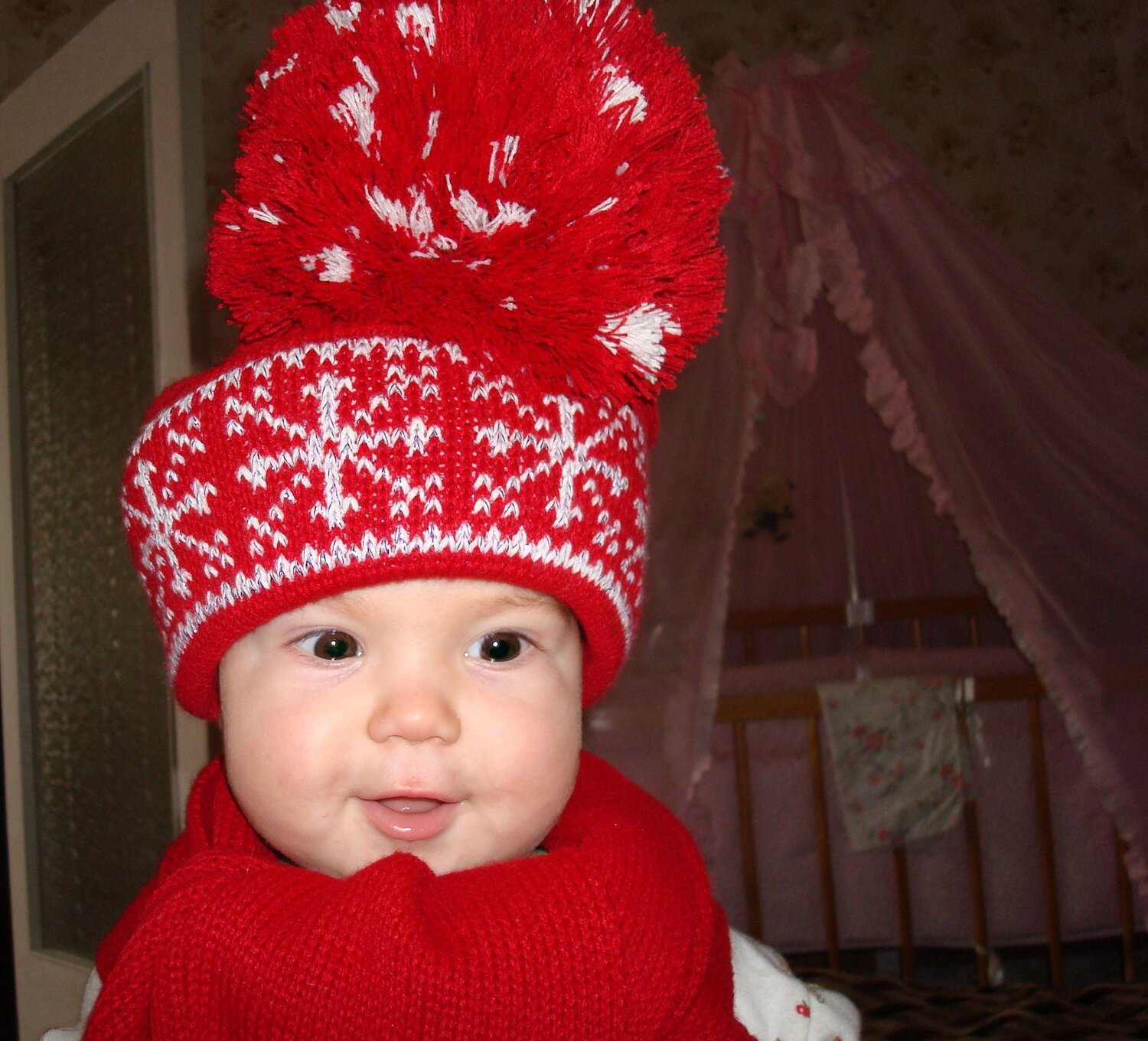 Photo #2449839