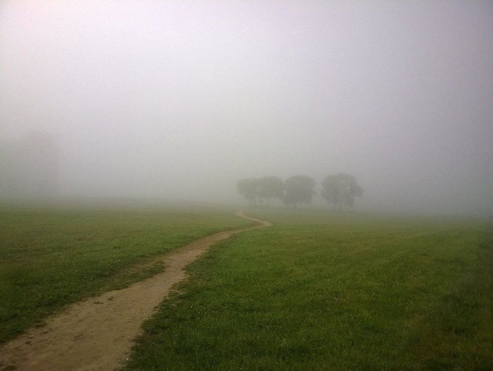 Где-то там бродит ёжик...