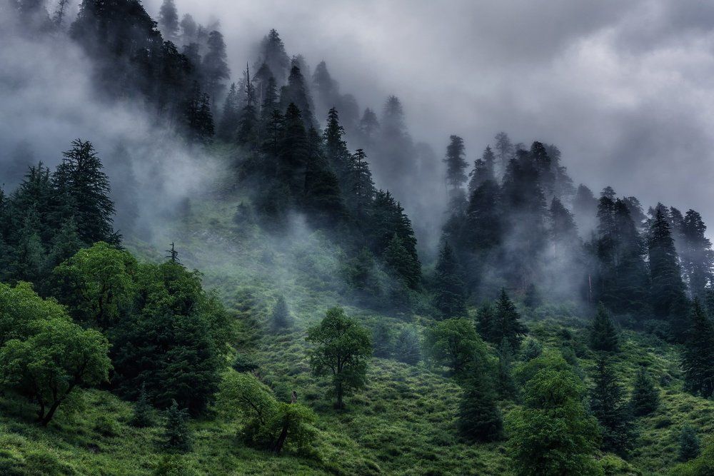 towards rati gali lake