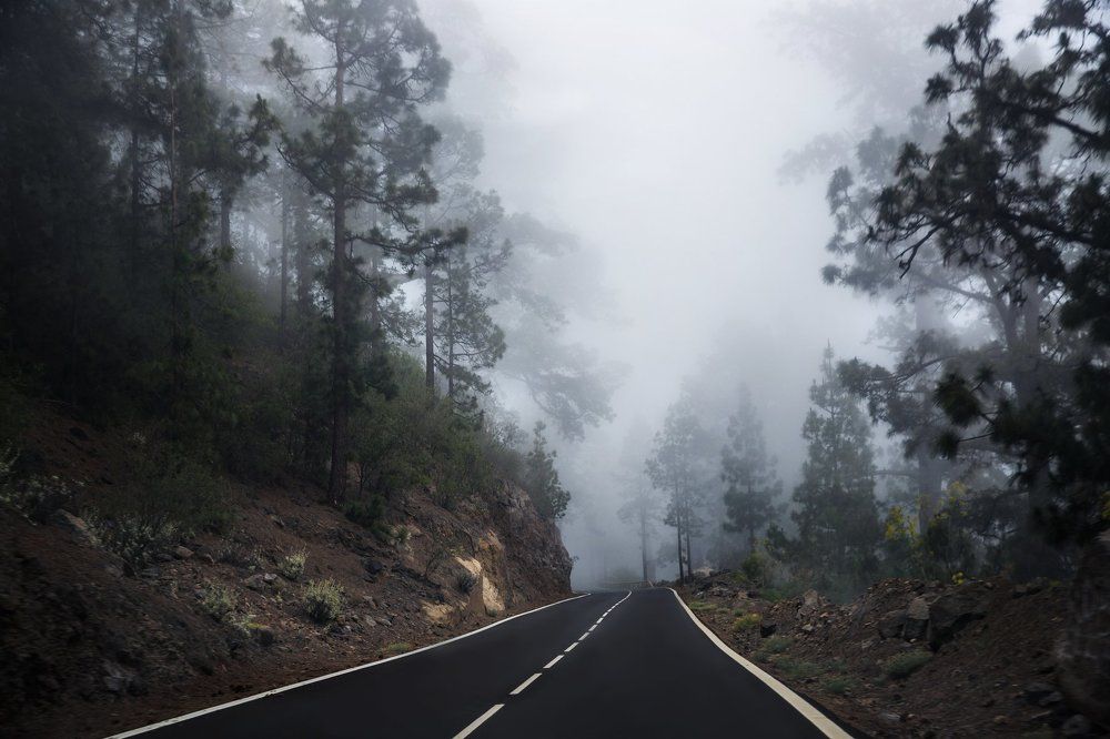 Фотография автора Гудкова Светлана