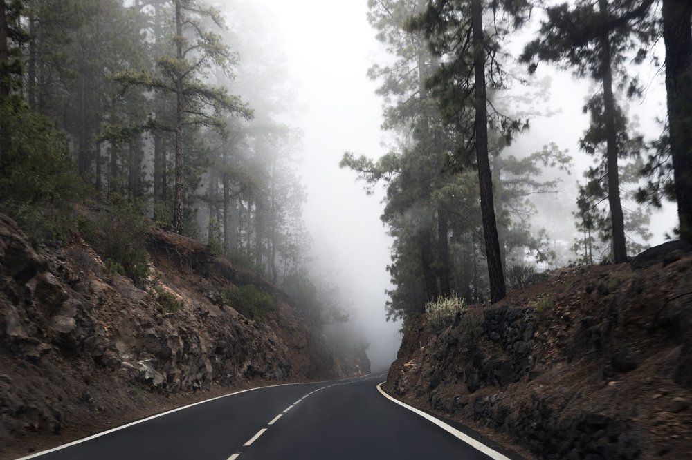 Фотография автора Гудкова Светлана