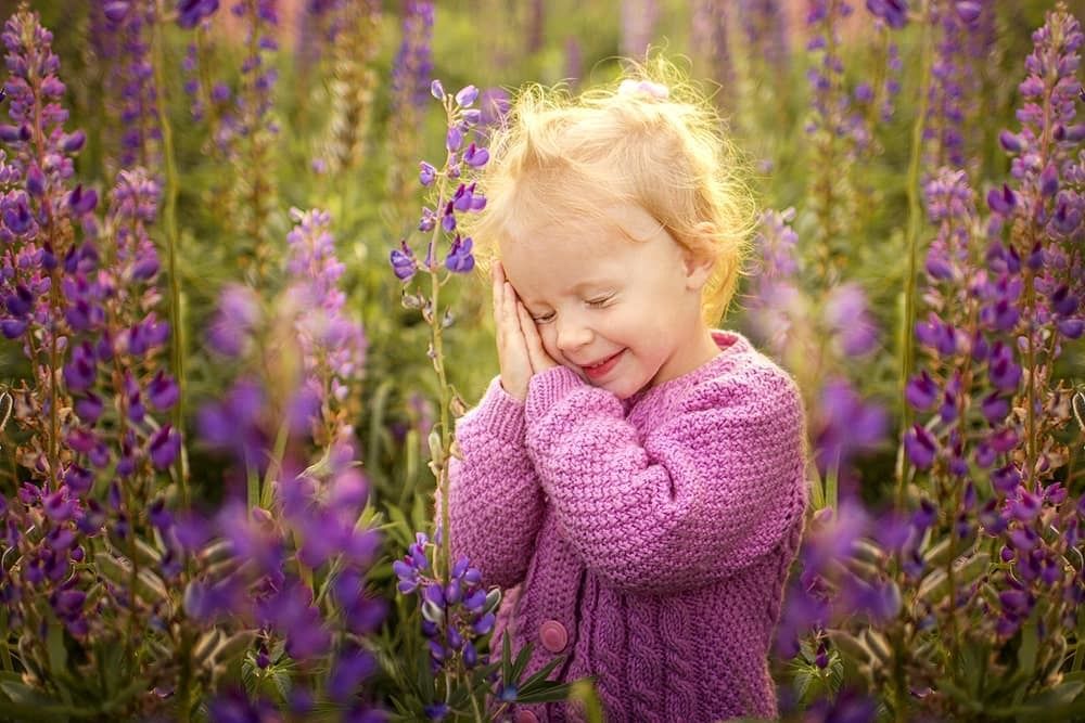 Сиреневые сны