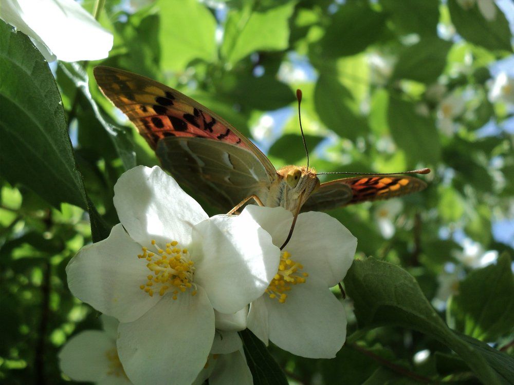 Там ,где вкусно...