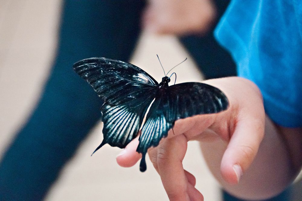 Photograph by Anastasia  Ka