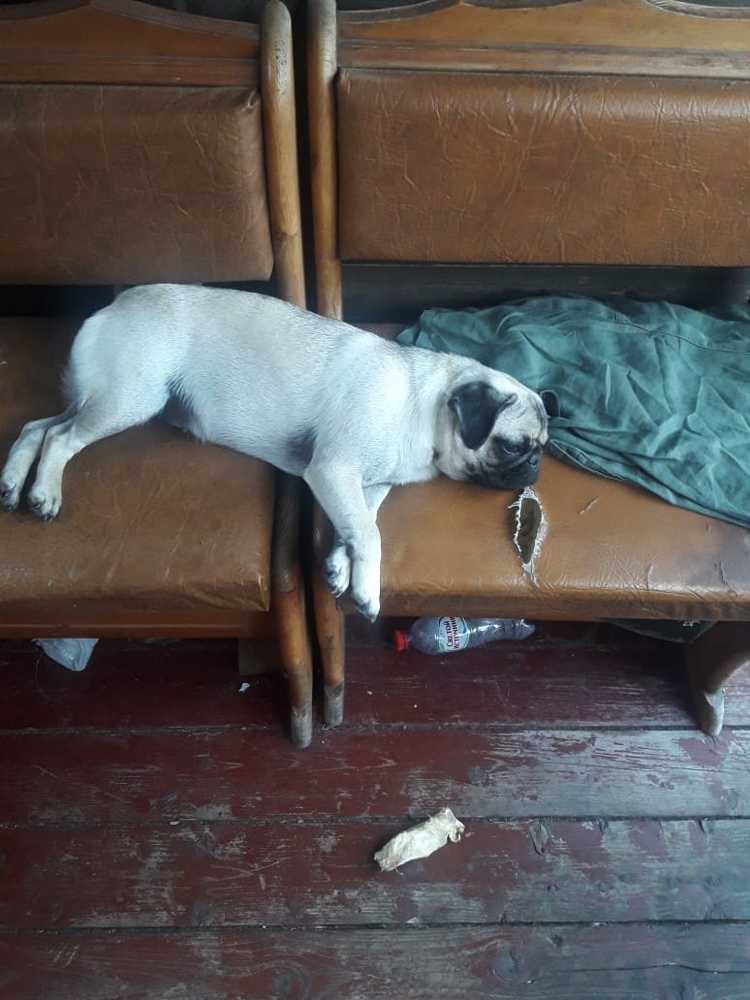 Фотография автора Любовь