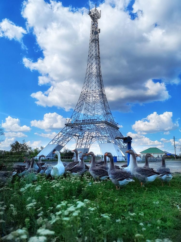 Гуси и эйфлева башня