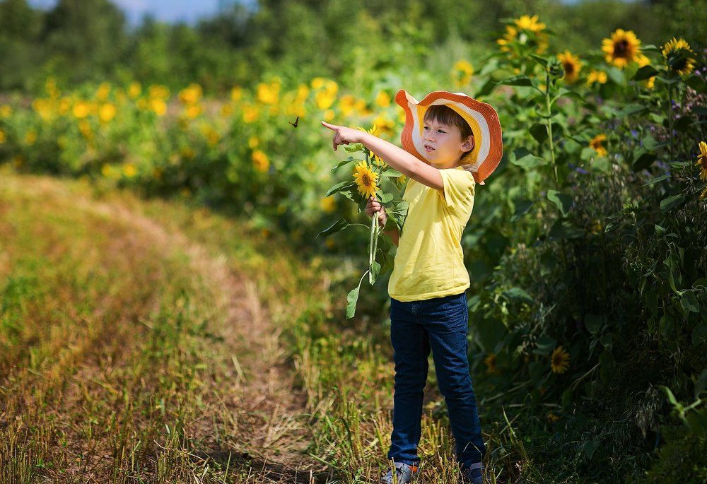 Незнайка в стране подсолнухов