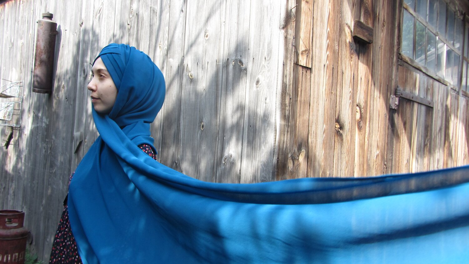 Photo #2451279