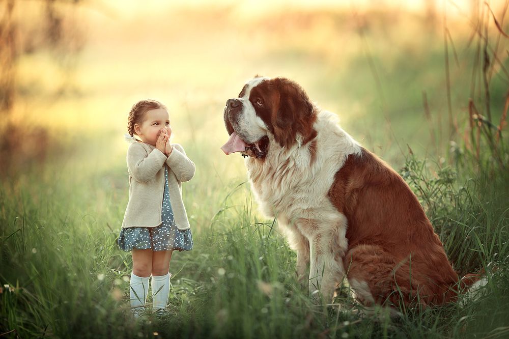 Приятная встреча