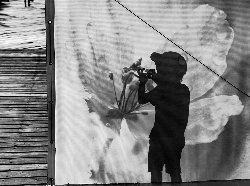 Мальчик и цветок