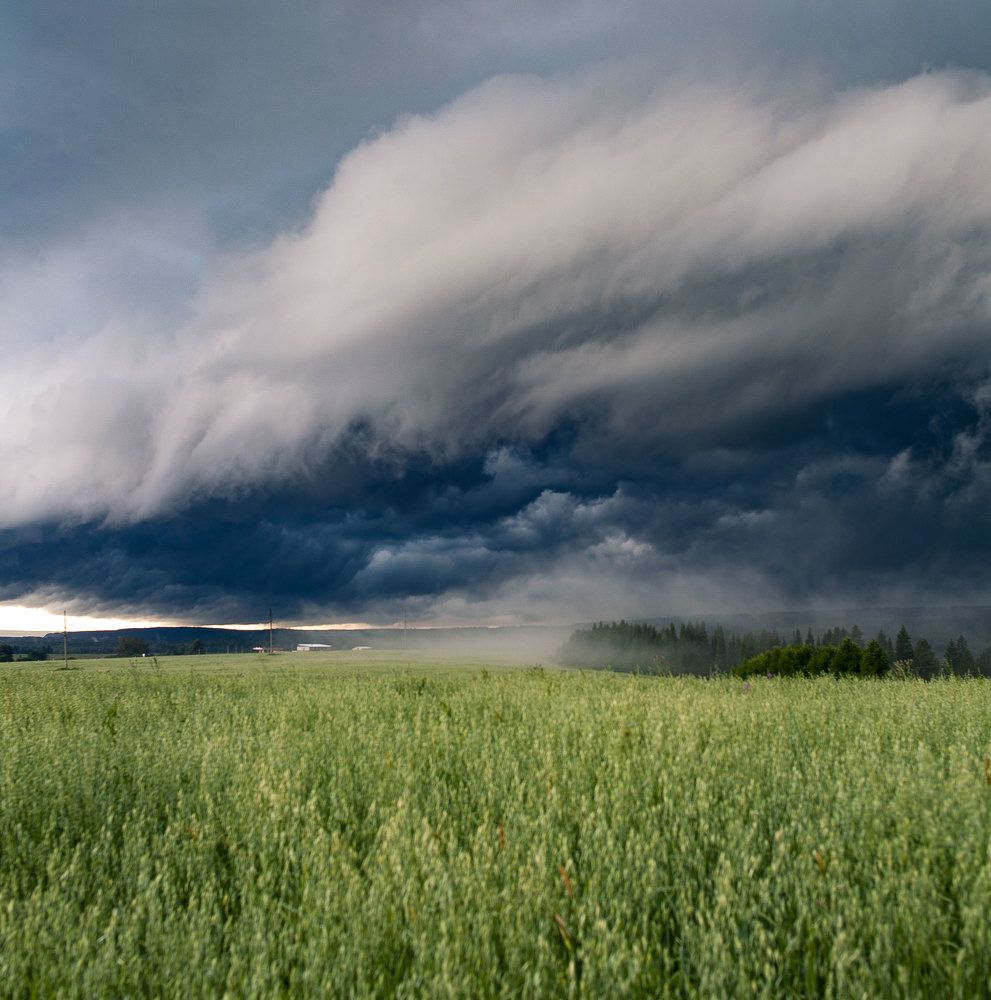 перед грозой