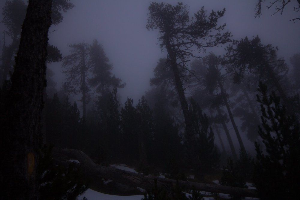 Photograph by Olga Costa