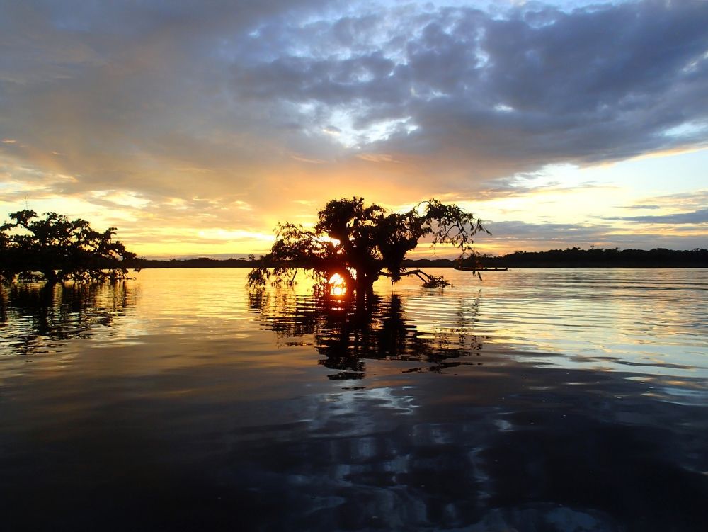 Amazing Sunset in Amazon