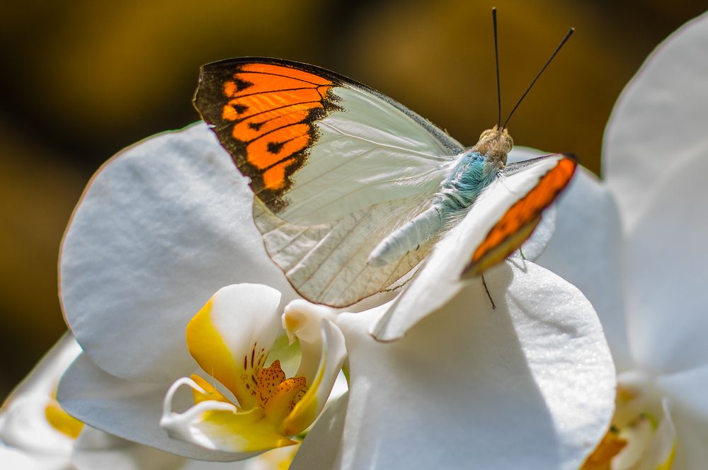 Photograph by Alex Papkov