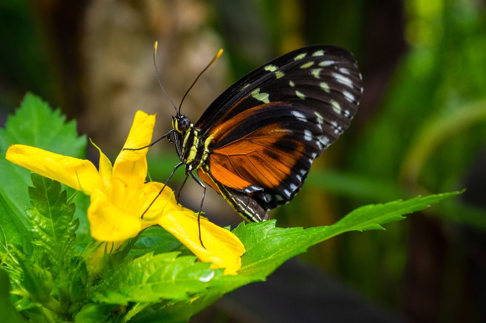 Photograph by Alex Papkov