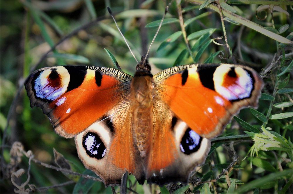 Photograph by Мотякин Аркадий