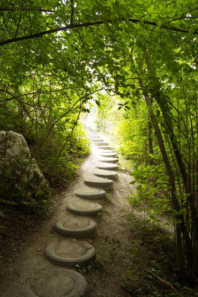 Photograph by Елена Абдураманова