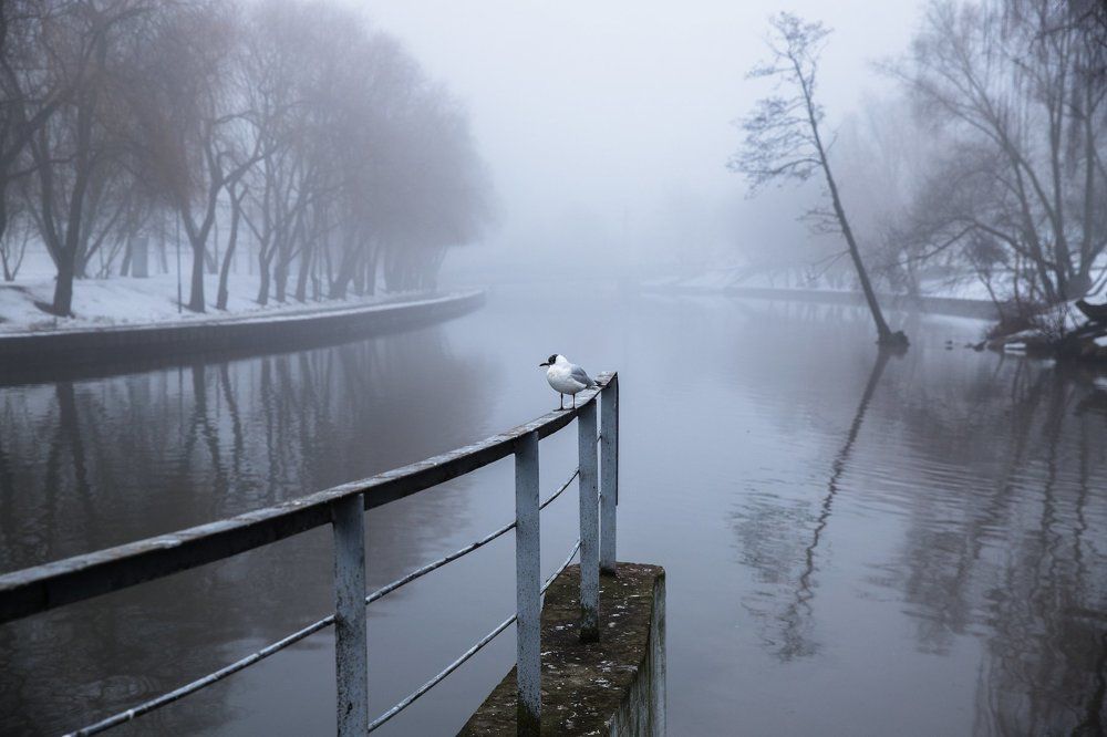 Фотография автора Гудкова Светлана