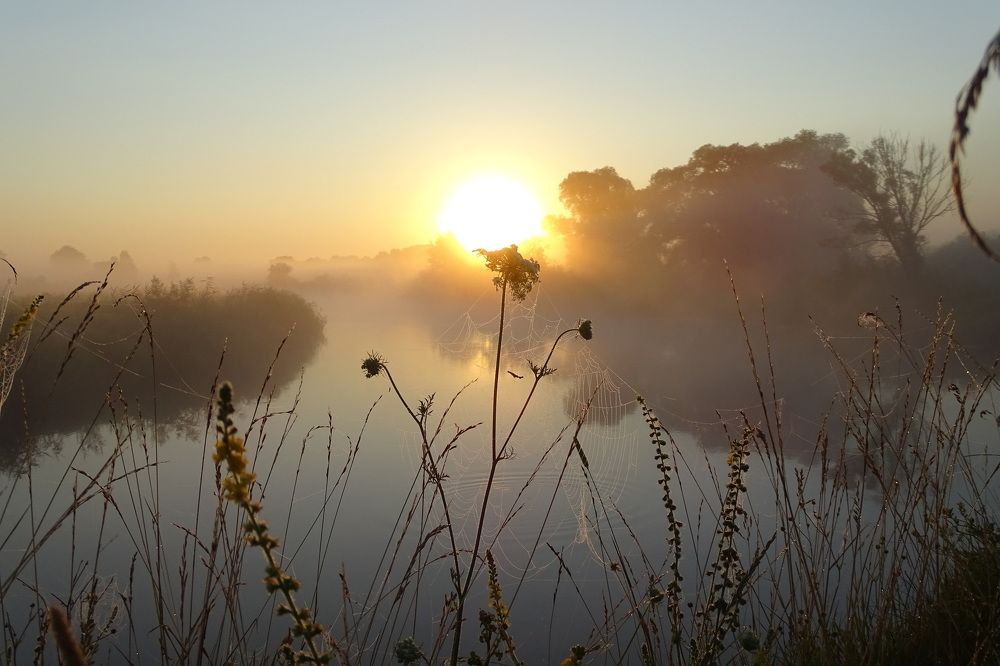 Начинается день