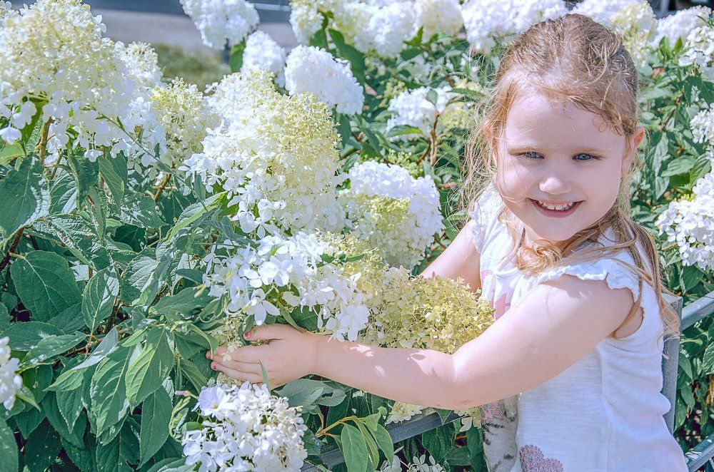 БЕЛОСНЕЖКА