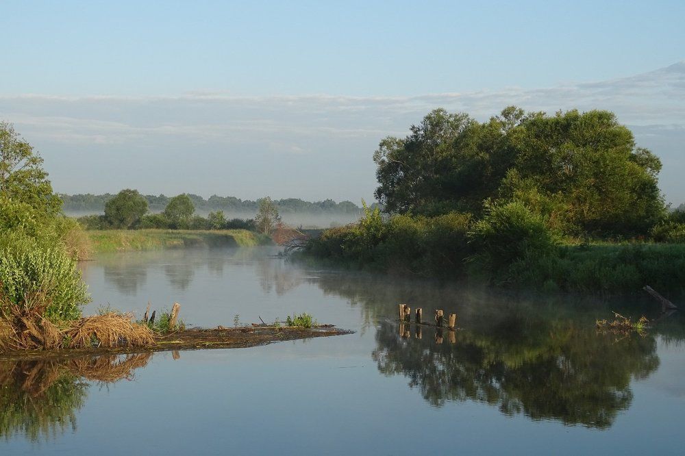 Сваи старого моста