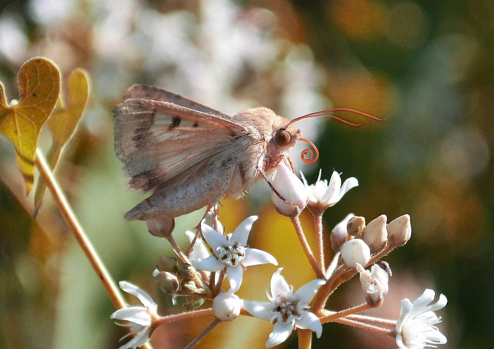 Photograph by Нелли Солодовникова
