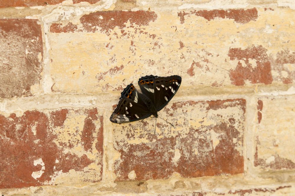 Photograph by Андрей Шаронов