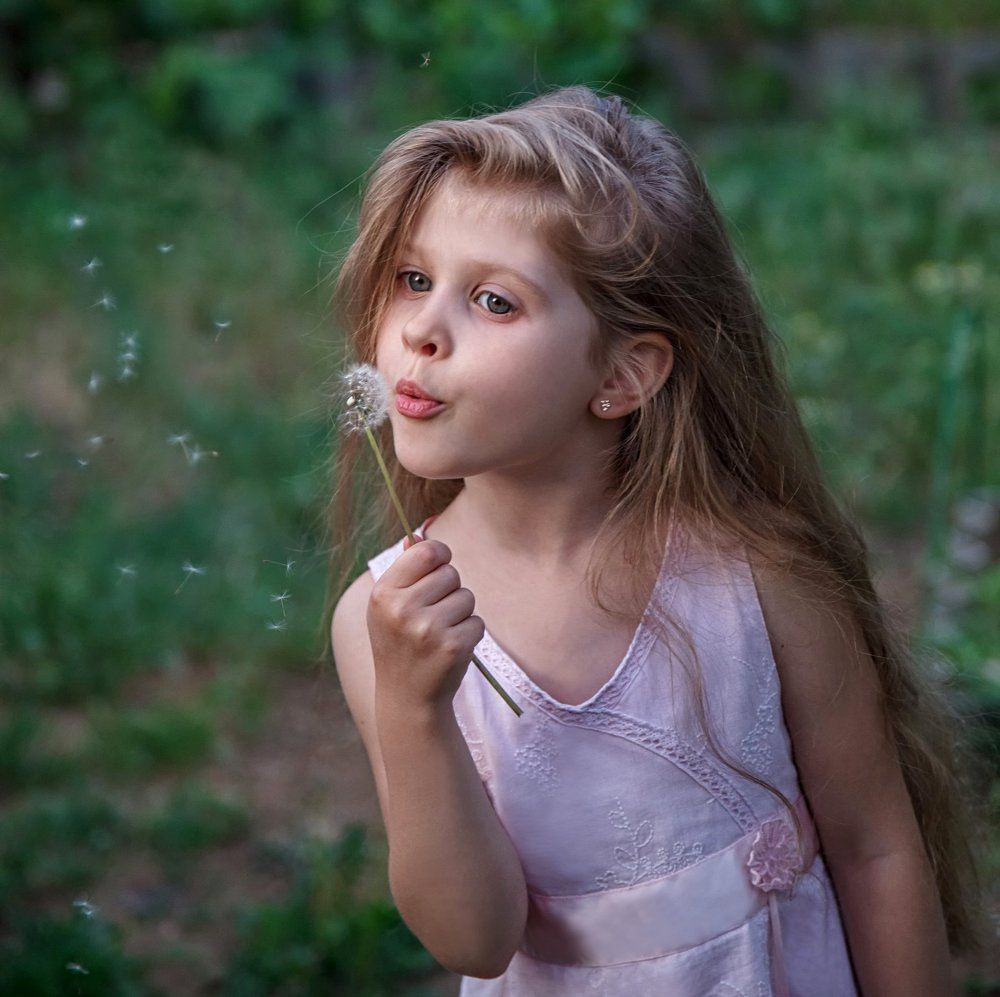 Последние одуванчики...