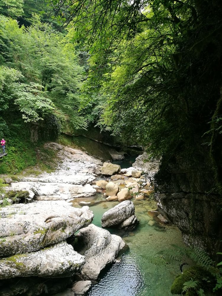 Каньон Мартвили