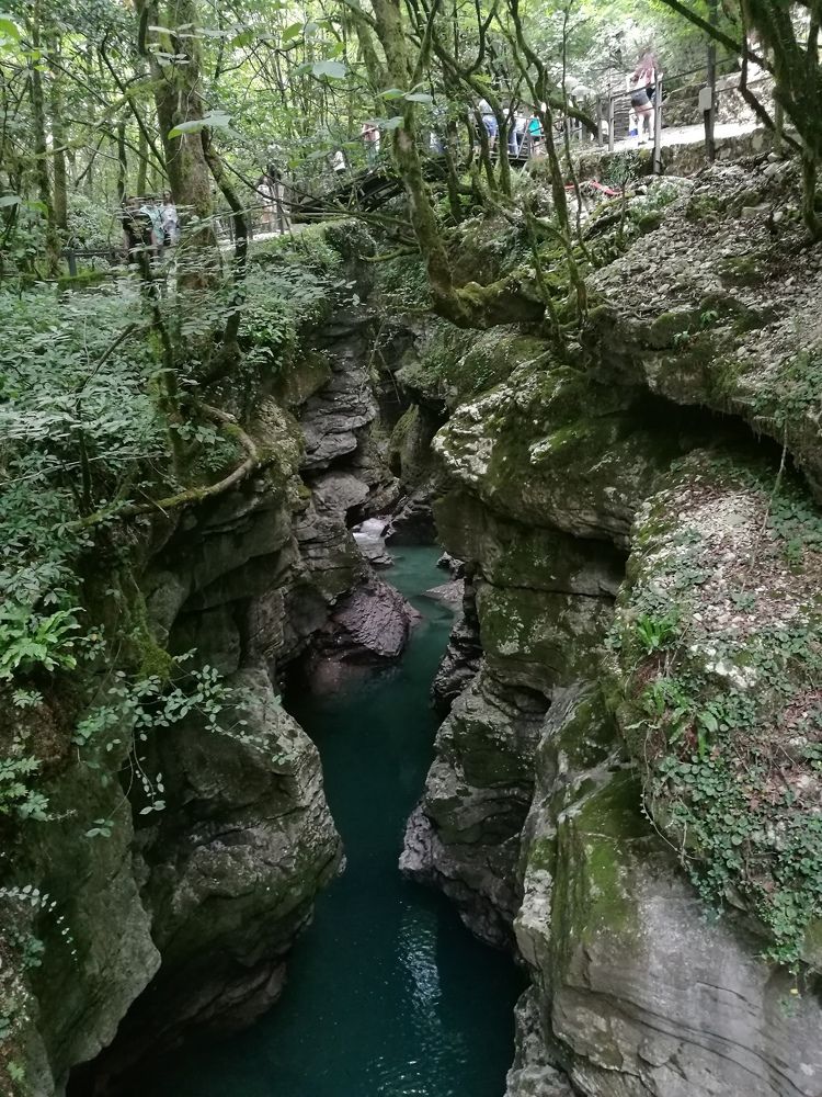 Каньон Мартвили