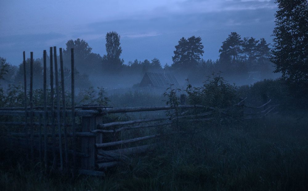 Photograph by Александра