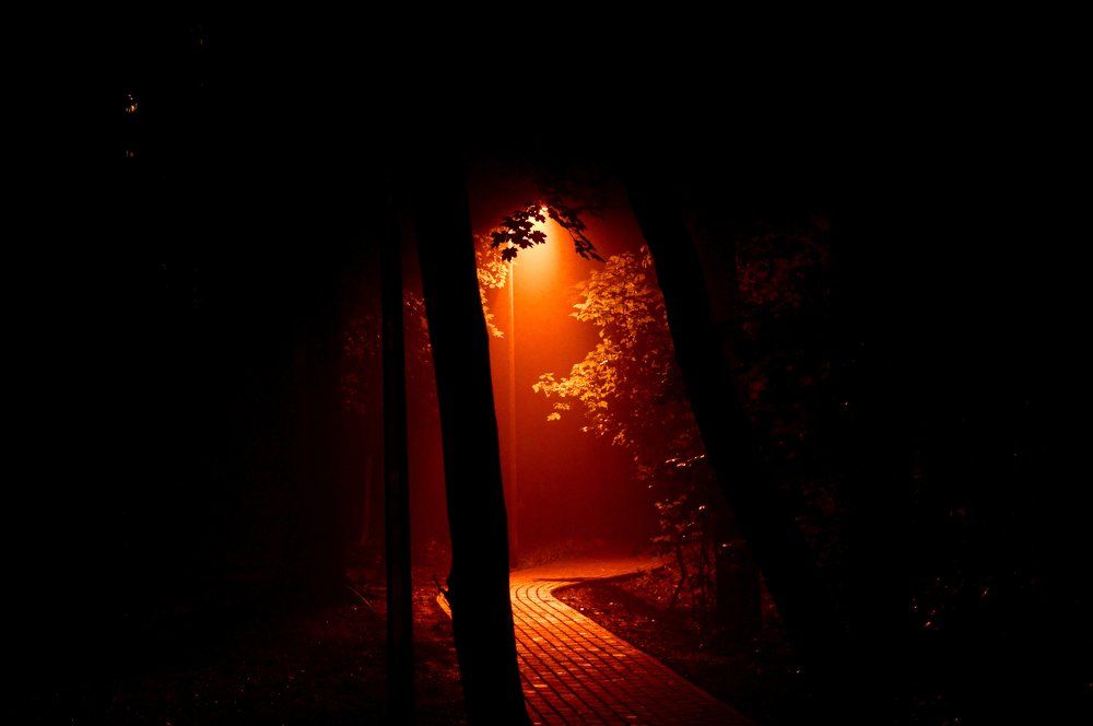 Riddle in the dark