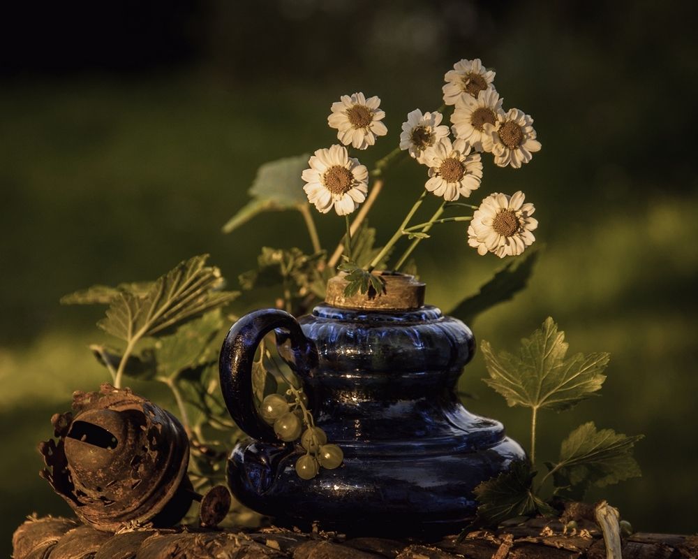 Photograph by Valentina Vershinina