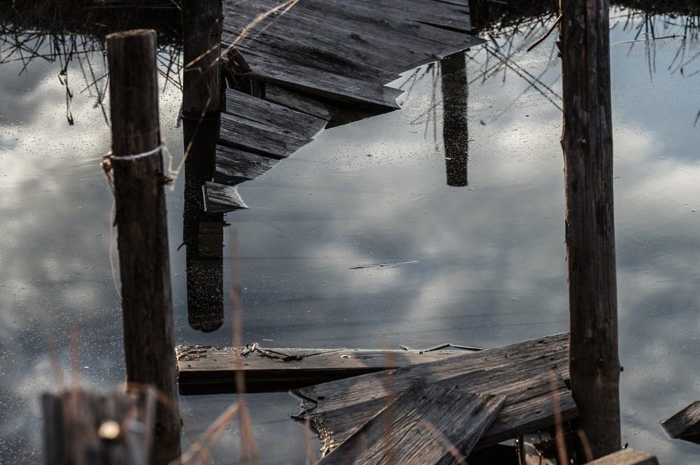 Photograph by Антонов Алексей