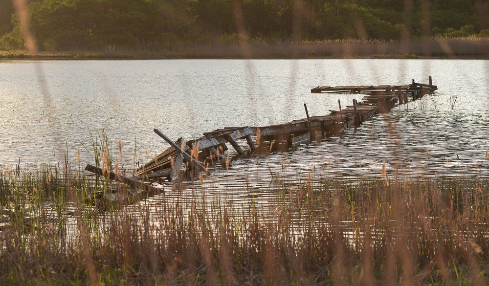 Photograph by Антонов Алексей