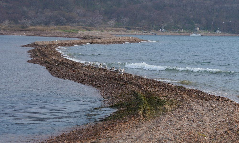 Photograph by Антонов Алексей