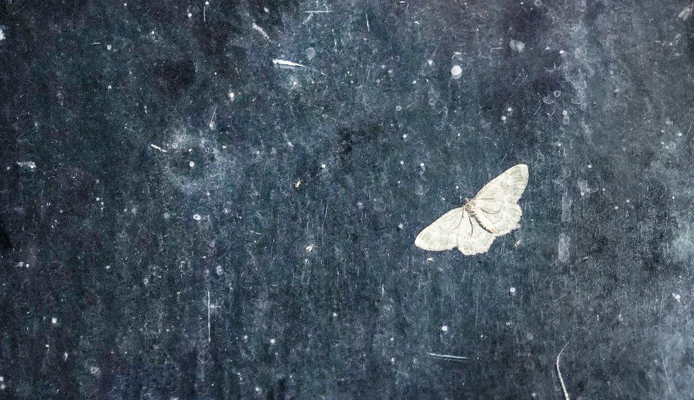 Photograph by Антонов Алексей