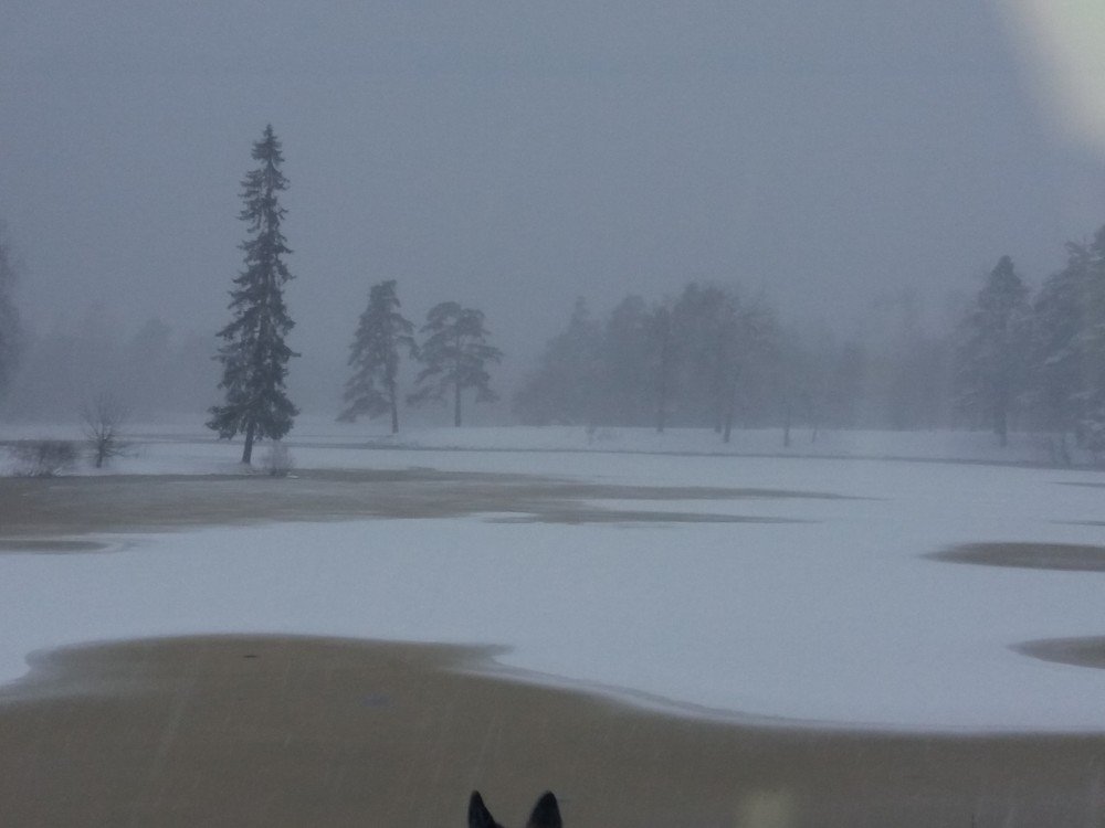 Зимний туман