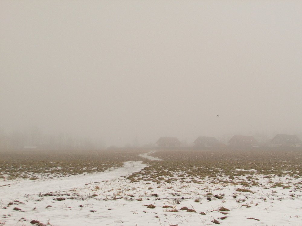 Туманное утро