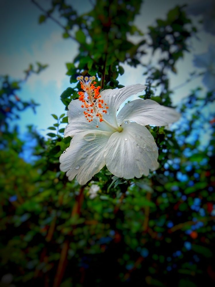Beauty of nature