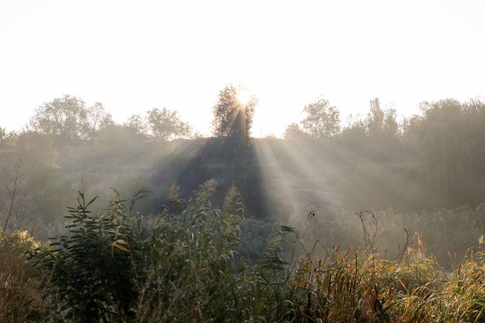 Photograph by Павел