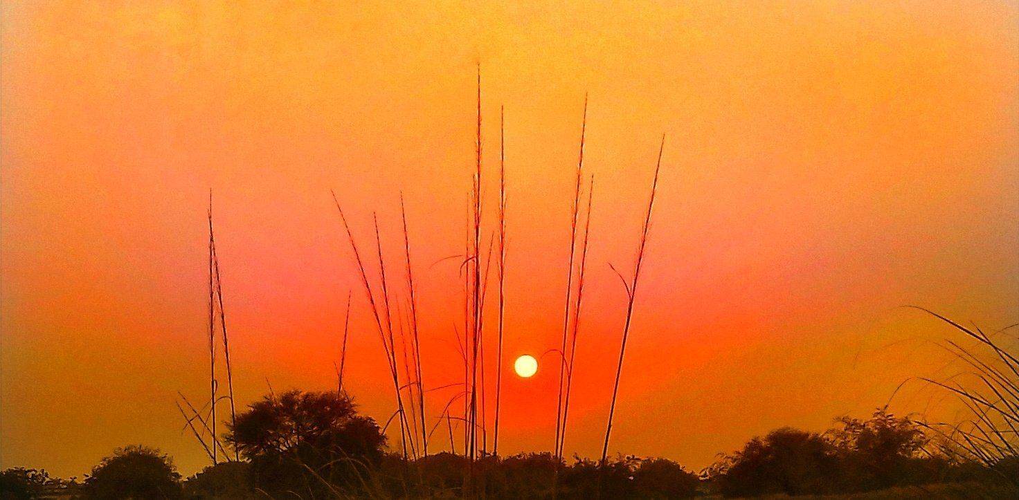 Sunset
