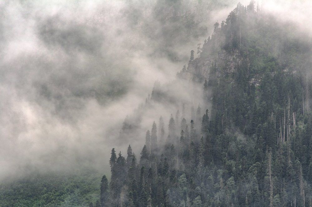 Туманная бесперспективность